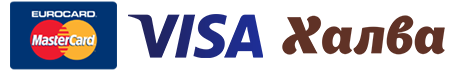 logo_shans